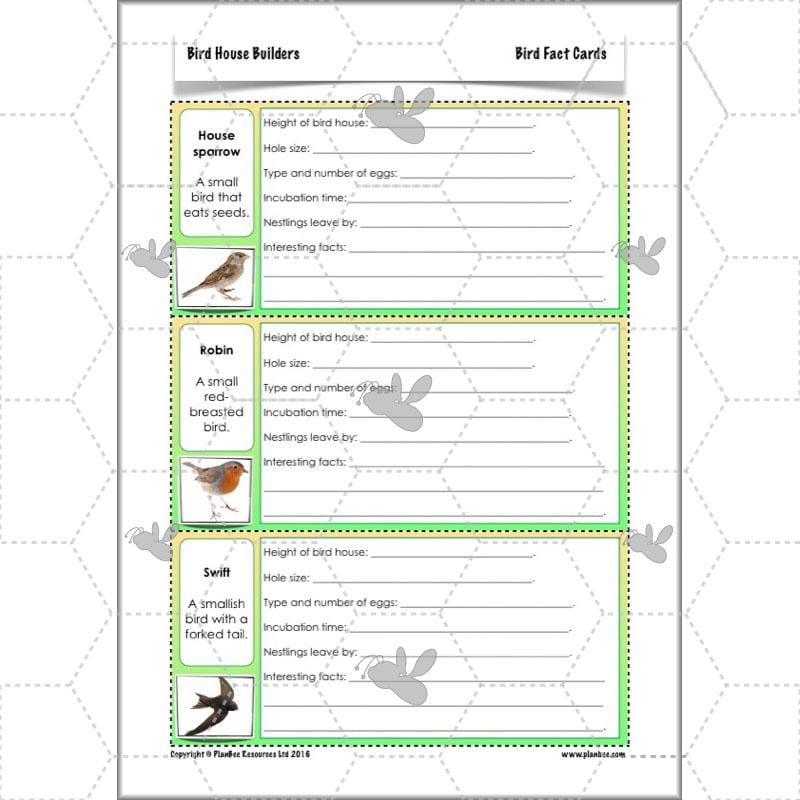 PlanBee Bird House Builders - DT Primary Resources for KS2 Year 6 | PlanBee