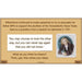 PlanBee British History Heroes KS2 History Lessons by PlanBee
