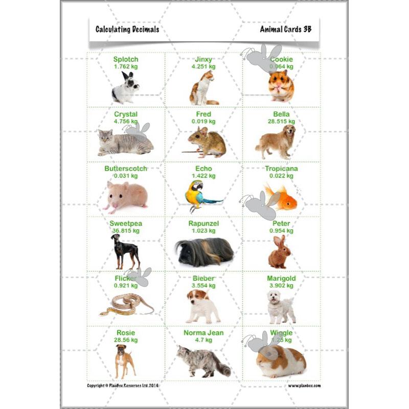 PlanBee Calculating Decimals - Complete Planning - Year 5 Fractions & Decimals