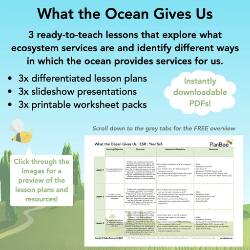 PlanBee Ocean Ecosystems KS2 ESR Lessons by PlanBee