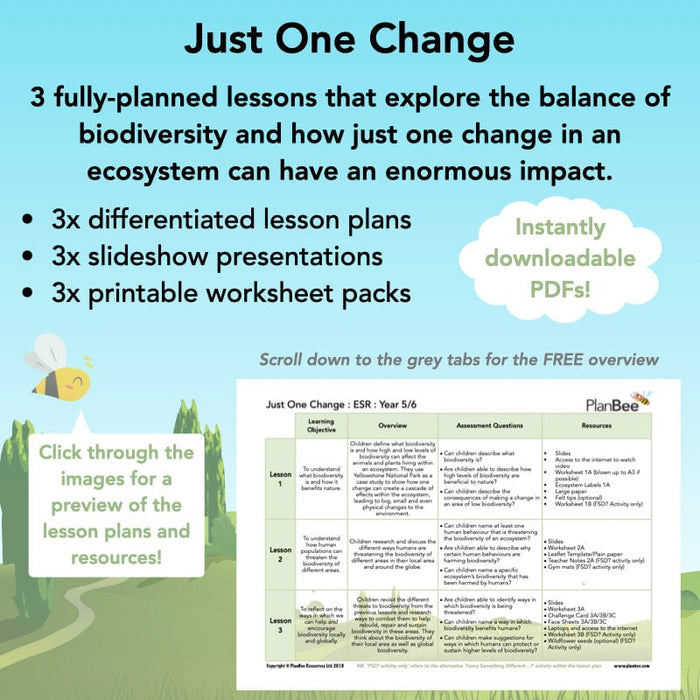 PlanBee Biodiversity and Conservations lessons for KS2 by PlanBee