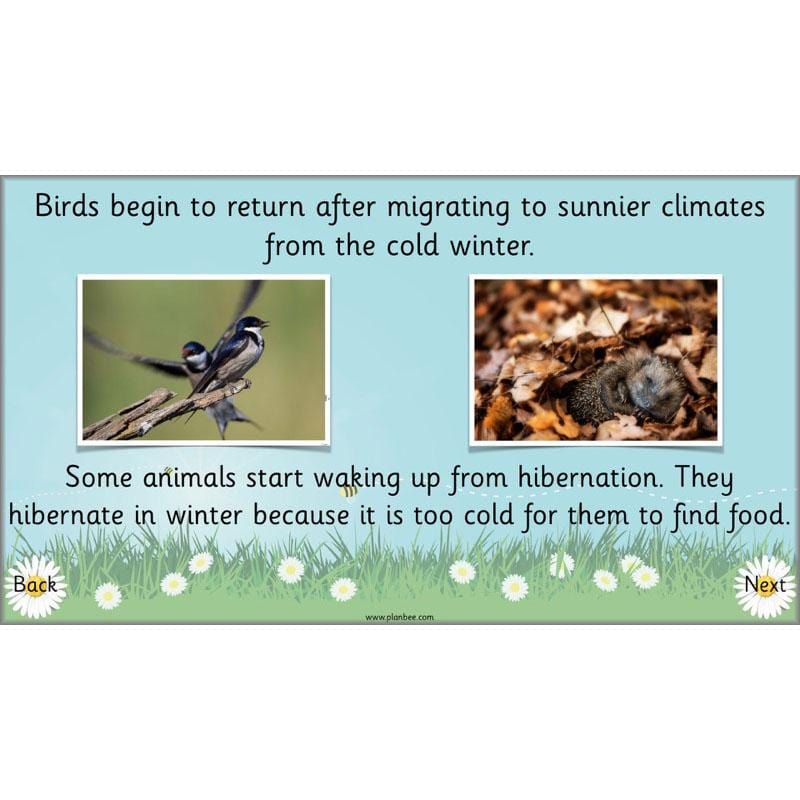 PlanBee Easter Beginnings KS1 Easter Lessons by PlanBee