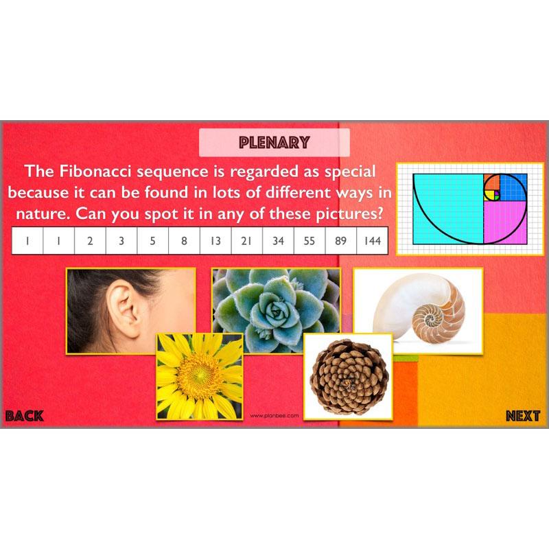 PlanBee The Fibonacci Sequence: KS2 Maths lesson planning