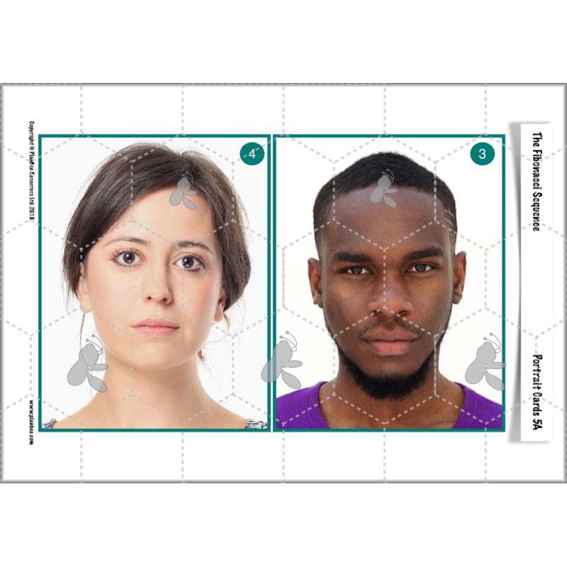 PlanBee The Fibonacci Sequence: KS2 Maths lesson planning