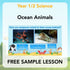 PlanBee FREE Under the Sea KS1 Ocean Animals lesson pack | PlanBee