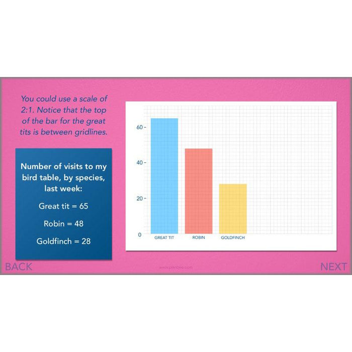 PlanBee Handling Data Year 4 Maths Lessons by PlanBee