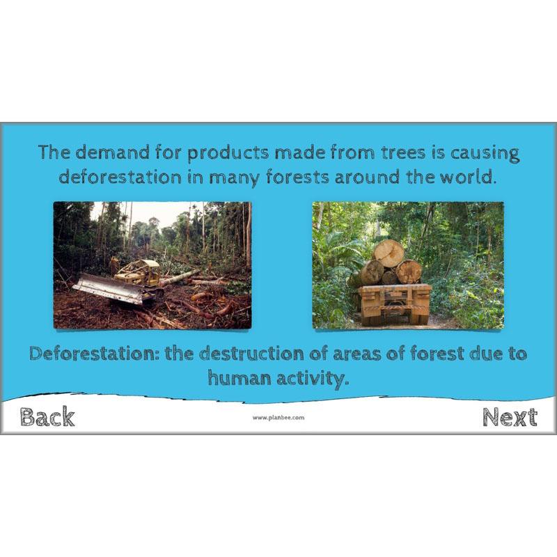 PlanBee I Speak for the Trees KS2 Ecosystems ESR Lessons