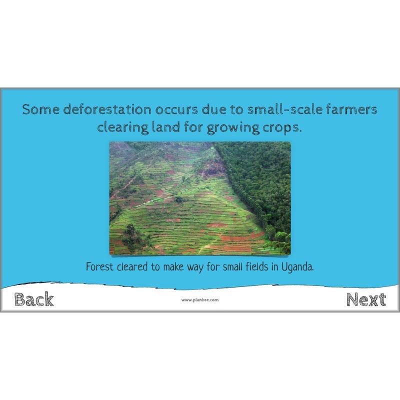 PlanBee I Speak for the Trees KS2 Ecosystems ESR Lessons