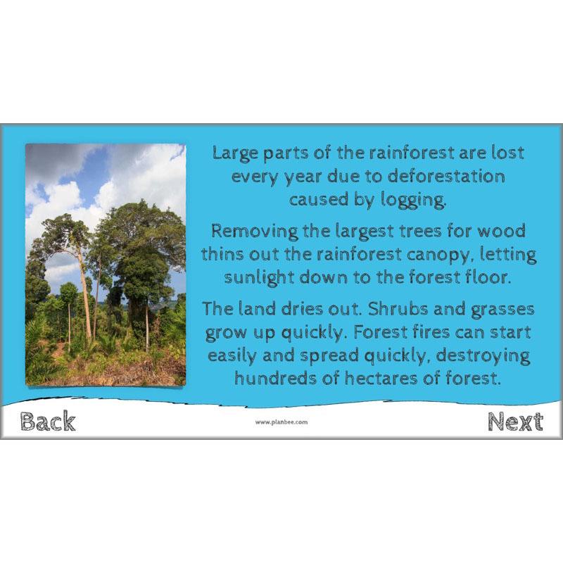 PlanBee I Speak for the Trees KS2 Ecosystems ESR Lessons