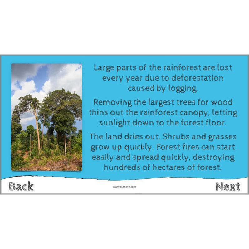 I Speak for the Trees KS2 Ecosystems ESR Lessons — PlanBee