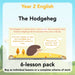 PlanBee The Hodgeheg Activities Non-Chronological Reports Year 2