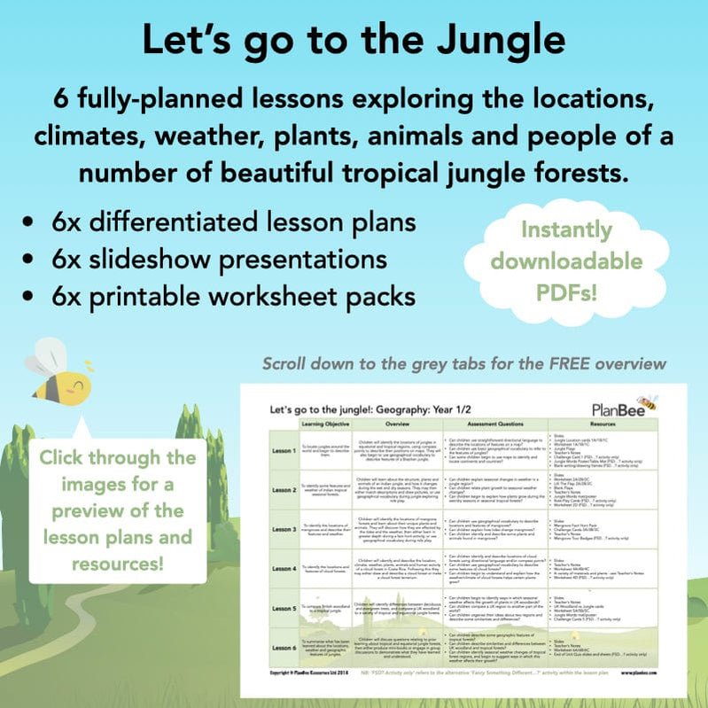 Rainforest Teaching Resources For Ks2 And Ks1 By Planbee