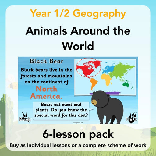 PlanBee Animals Around the World KS1 Geography Lessons by PlanBee