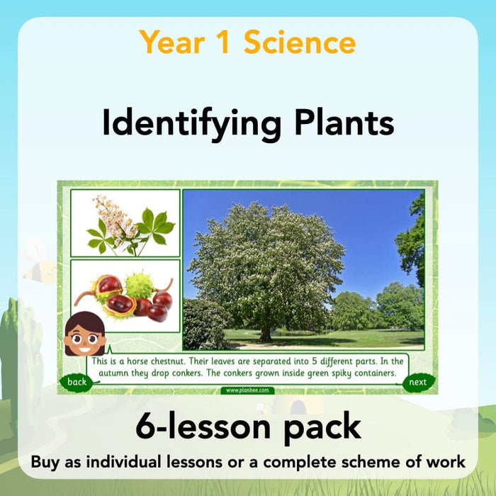 PlanBee Identifying Plants Year 1 | KS1 Plants Lessons | PlanBee