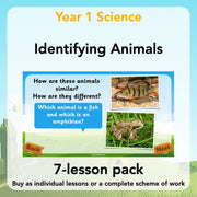 PlanBee Animals Year 1 | Science Lessons KS1 by PlanBee