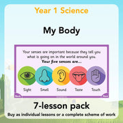 PlanBee Parts of the Body KS1 Science lessons by PlanBee