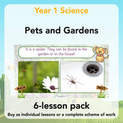 PlanBee Pets and Gardens Year 1 Science Lesson Plans by PlanBee