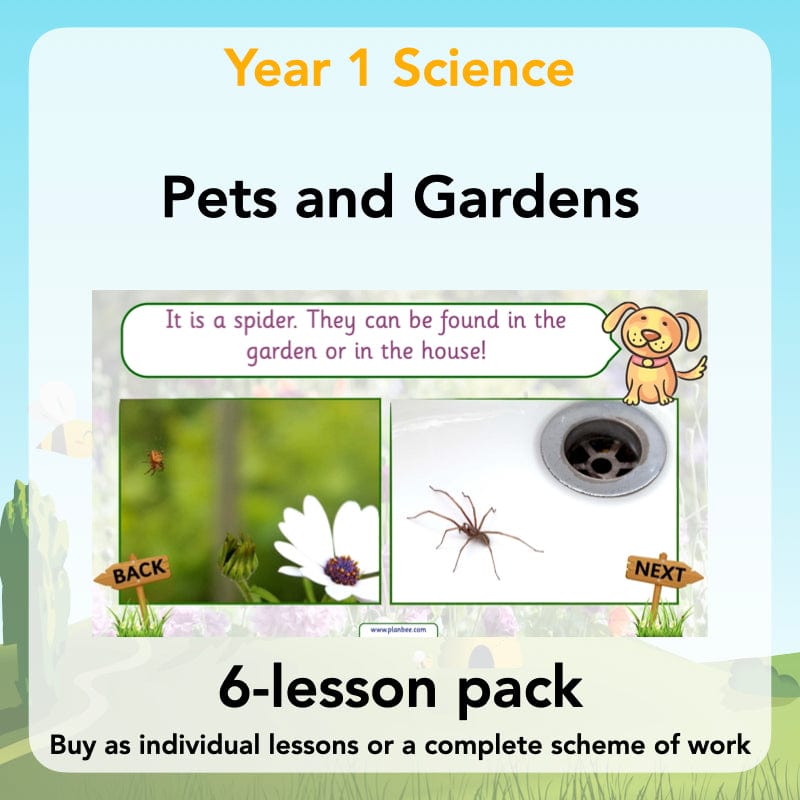 PlanBee Pets and Gardens Year 1 Science Lesson Plans by PlanBee