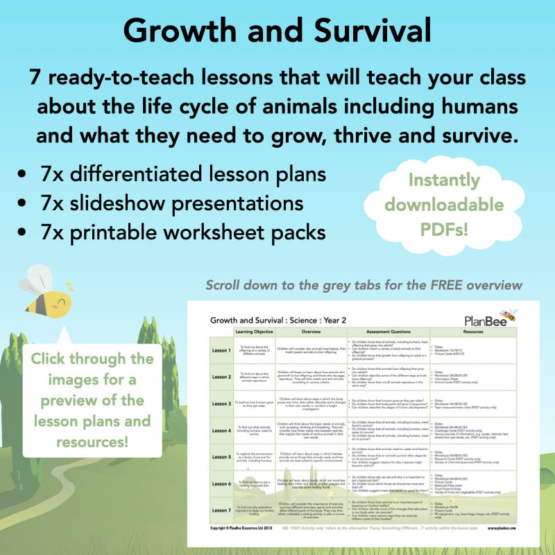 PlanBee Growth and Survival: Animals including Humans Year 2 Science