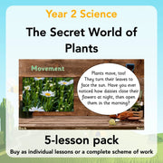 PlanBee Secret World of Plants - KS1 Science Scheme of Work: Year 2