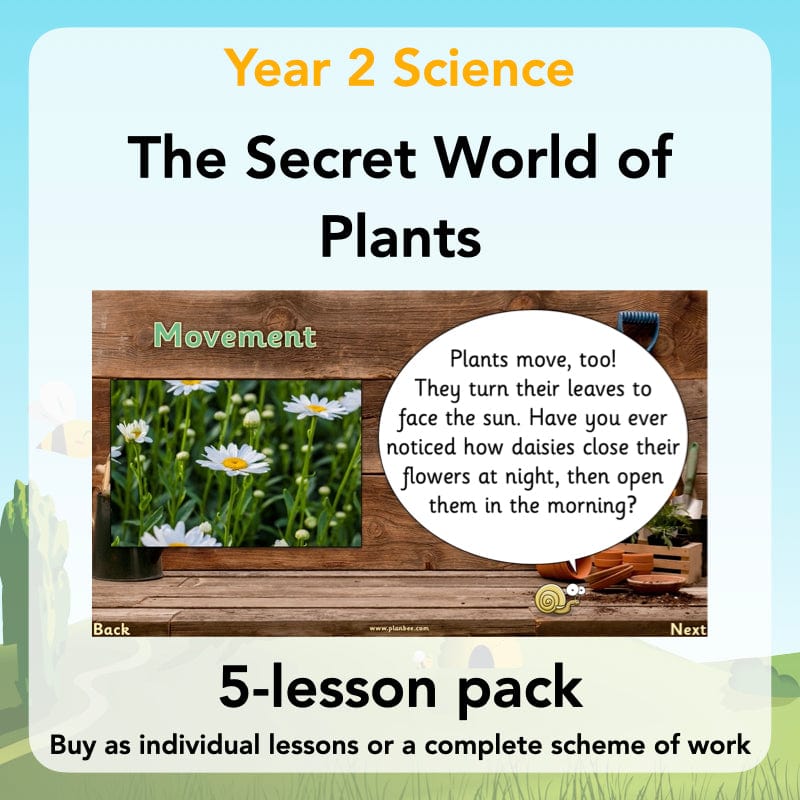 PlanBee Secret World of Plants - KS1 Science Scheme of Work: Year 2
