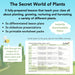 PlanBee Secret World of Plants - KS1 Science Scheme of Work: Year 2