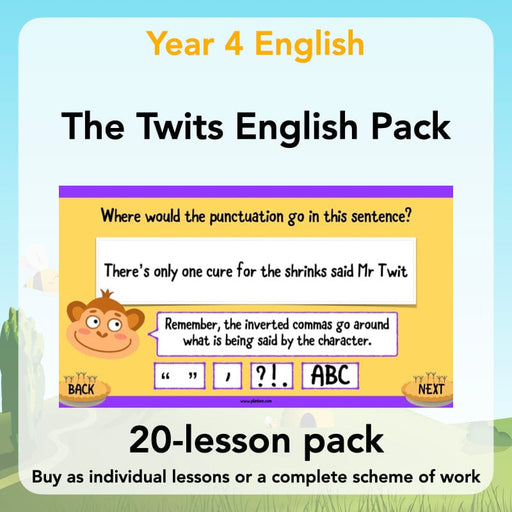 PlanBee The Twits Lesson Plans KS2 Year 4 English Planning | PlanBee