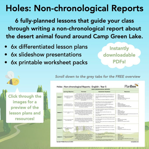 PlanBee Holes | Non-chronological Reports Year 5 | PlanBee