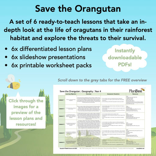 PlanBee Save the Orangutan KS2 Geography Planning Pack | PlanBee