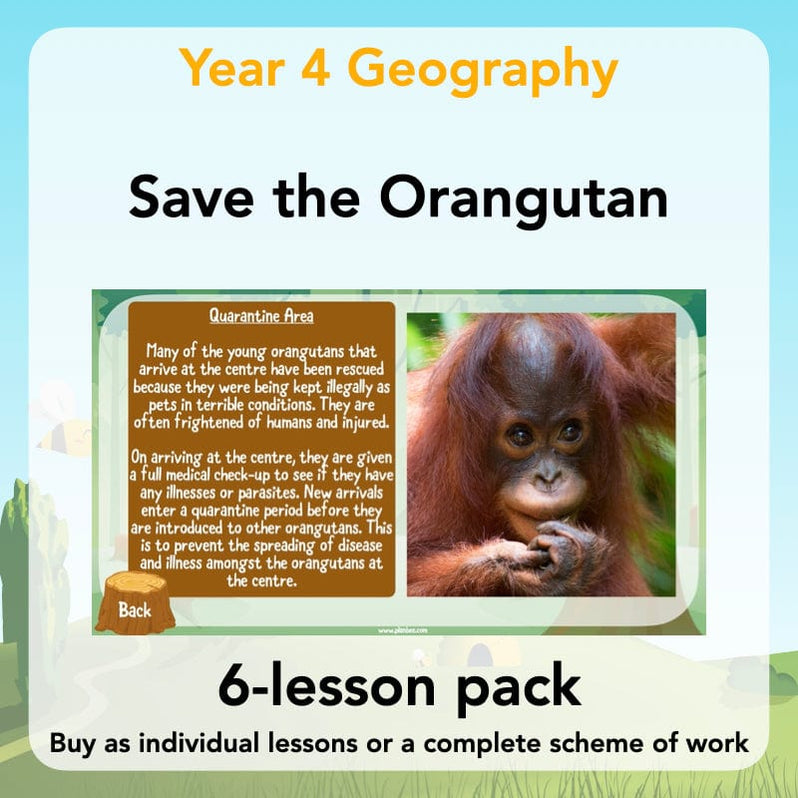 Save the Orangutan KS2 Geography Planning Pack by PlanBee