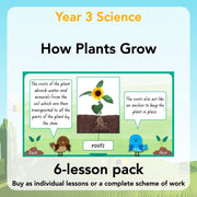 PlanBee Plants Year 3 Planning Pack | Year 3 Science Plants Lessons