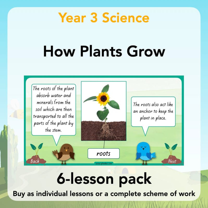 Plants Year 3 Planning Pack | Year 3 Science Plants Lessons — PlanBee