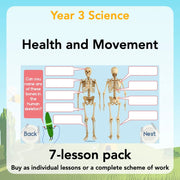 PlanBee Animals Including Humans Year 3 Science Lessons by PlanBee