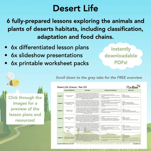 PlanBee Desert Habitat KS2 Science Lessons by PlanBee
