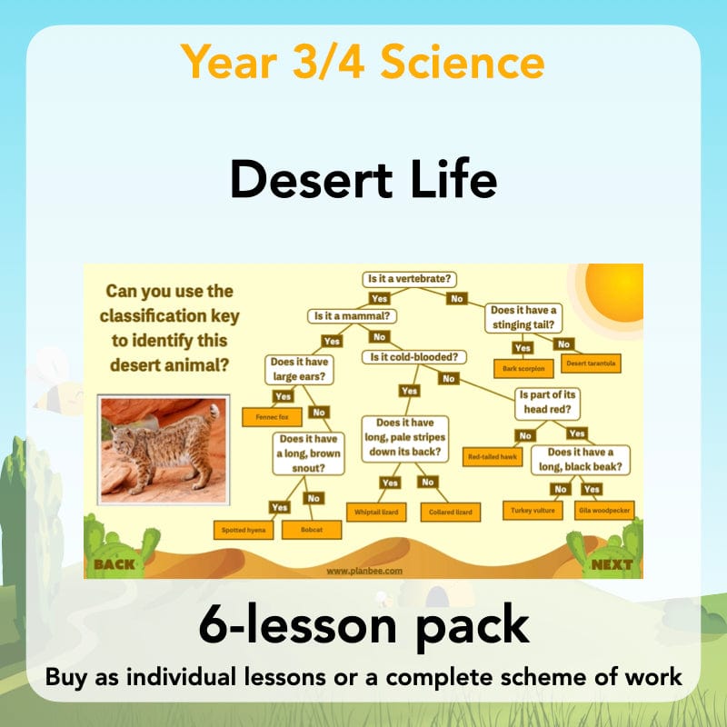 PlanBee Desert Habitat KS2 Science Lessons by PlanBee