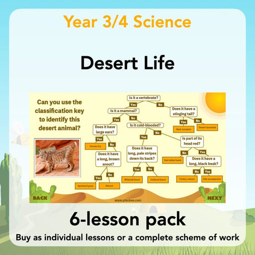 PlanBee Desert Habitat KS2 Science Lessons by PlanBee