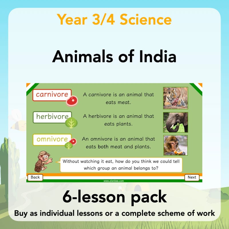 PlanBee Animals of India complete Science scheme of work for KS2