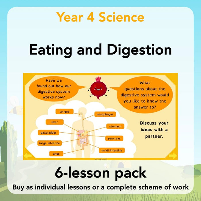 PlanBee Digestive System Year 4 Animals including Humans | PlanBee