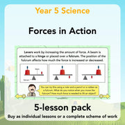 PlanBee Forces in Action: Science Forces Year 5 PlanBee lesson pack
