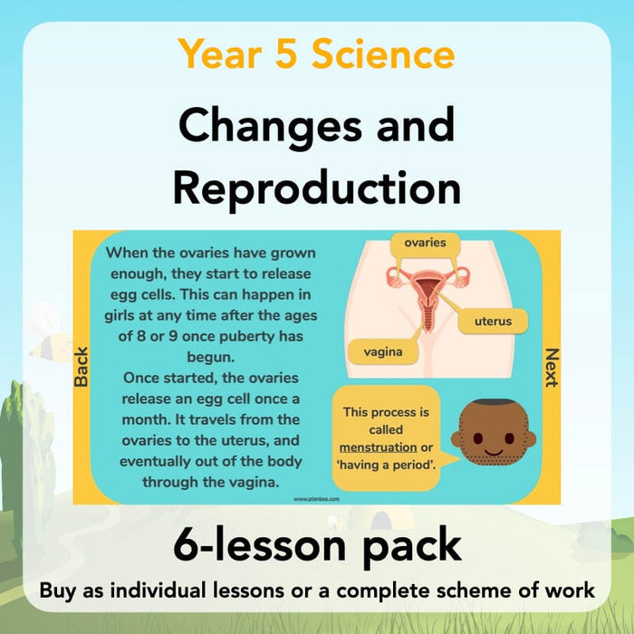 PlanBee Human Life Cycle KS2 lessons | Year 5 Science by PlanBee