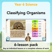 PlanBee Living Things and their Habitats Year 6 | Classifying Organisms