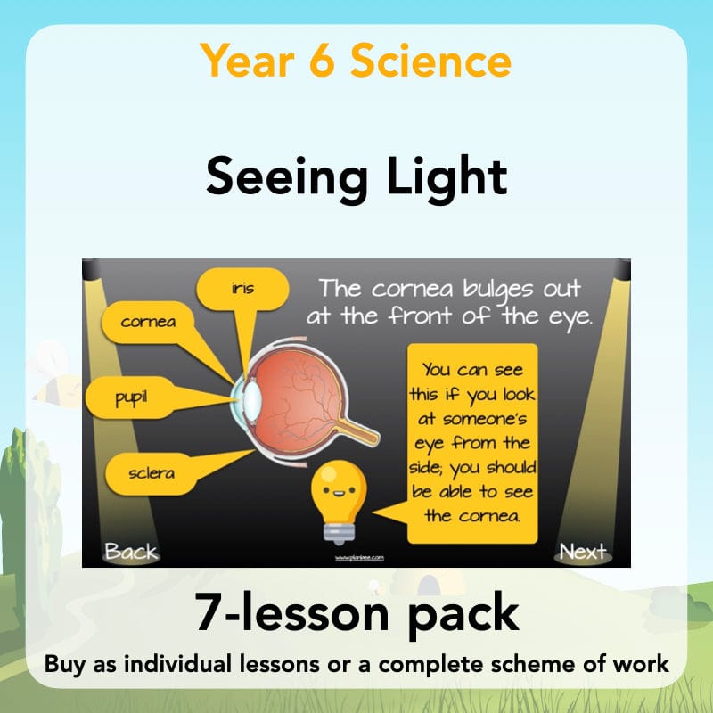 PlanBee Seeing Light KS2 Planning Pack | Year 6 Science Lessons