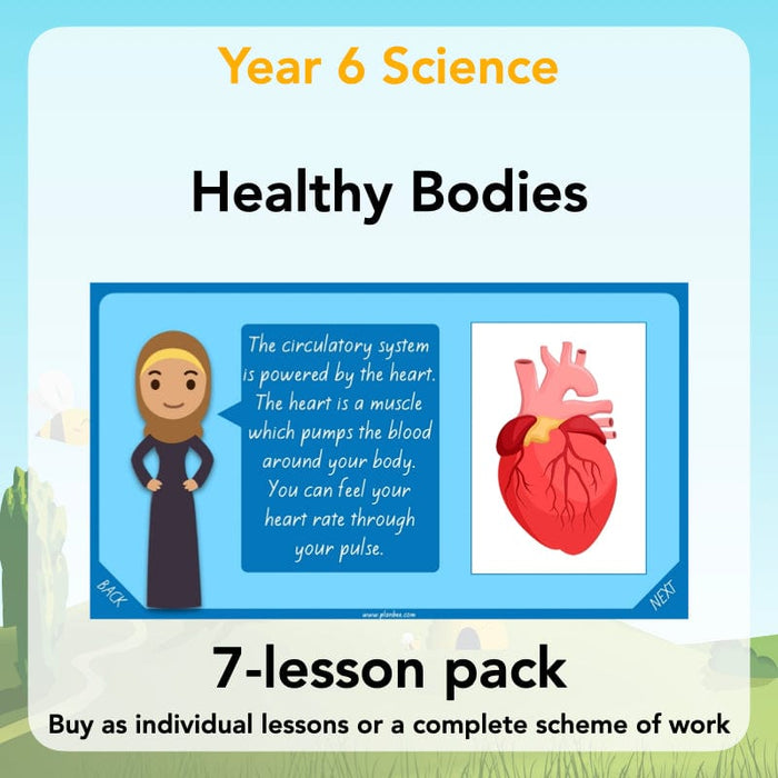 PlanBee Healthy Bodies Animals including Humans Year 6 Planning