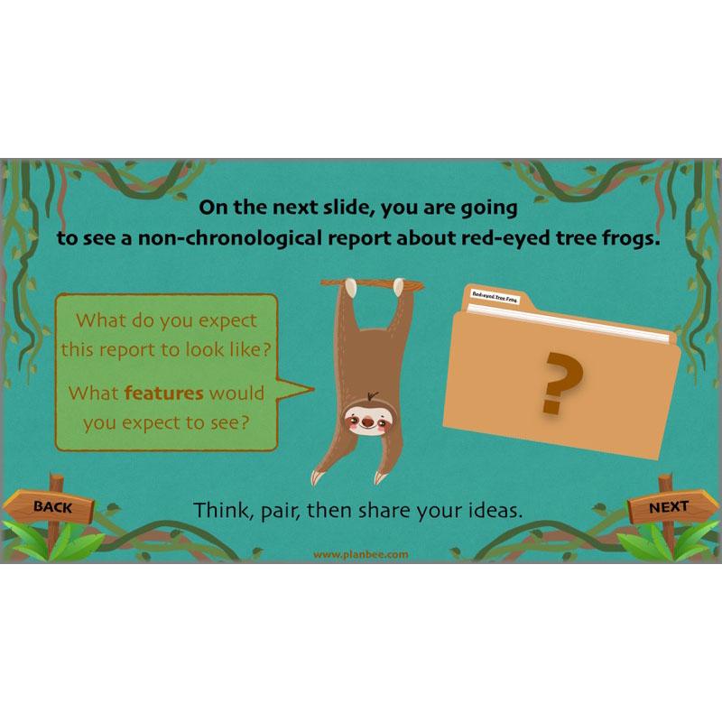 PlanBee Lost in the Rainforest: Non chronological Reports Year 3 English Plans & Resources