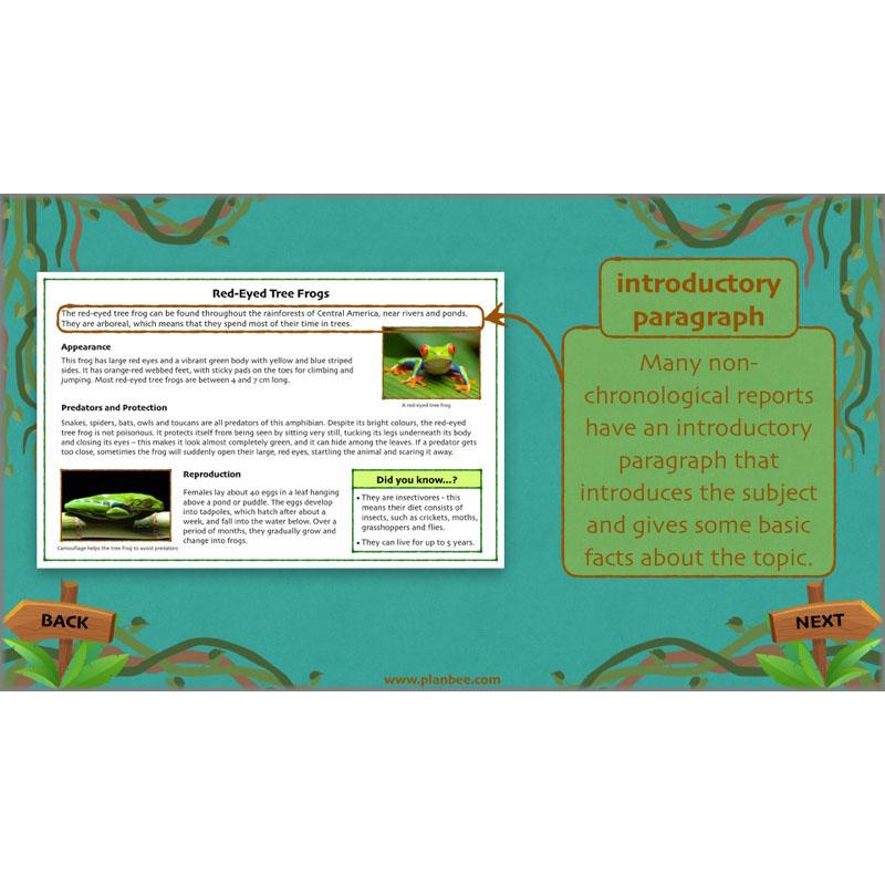 PlanBee Lost in the Rainforest: Non chronological Reports Year 3 English Plans & Resources