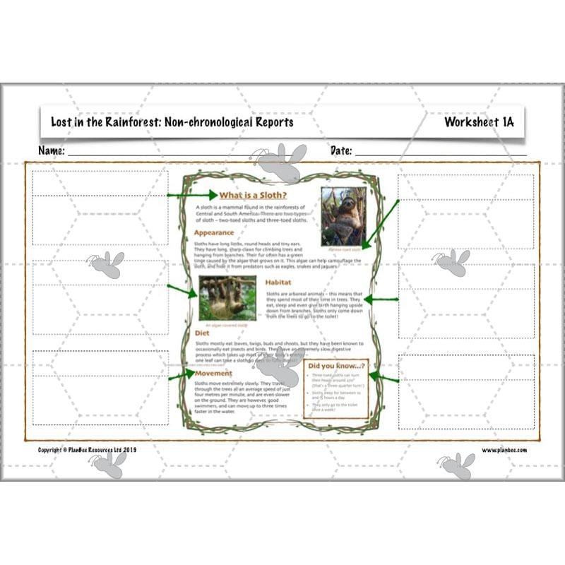 PlanBee Lost in the Rainforest: Non chronological Reports Year 3 English Plans & Resources