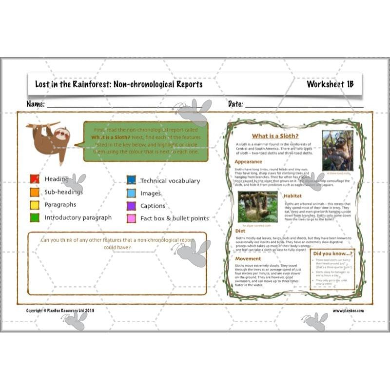 PlanBee Lost in the Rainforest: Non chronological Reports Year 3 English Plans & Resources