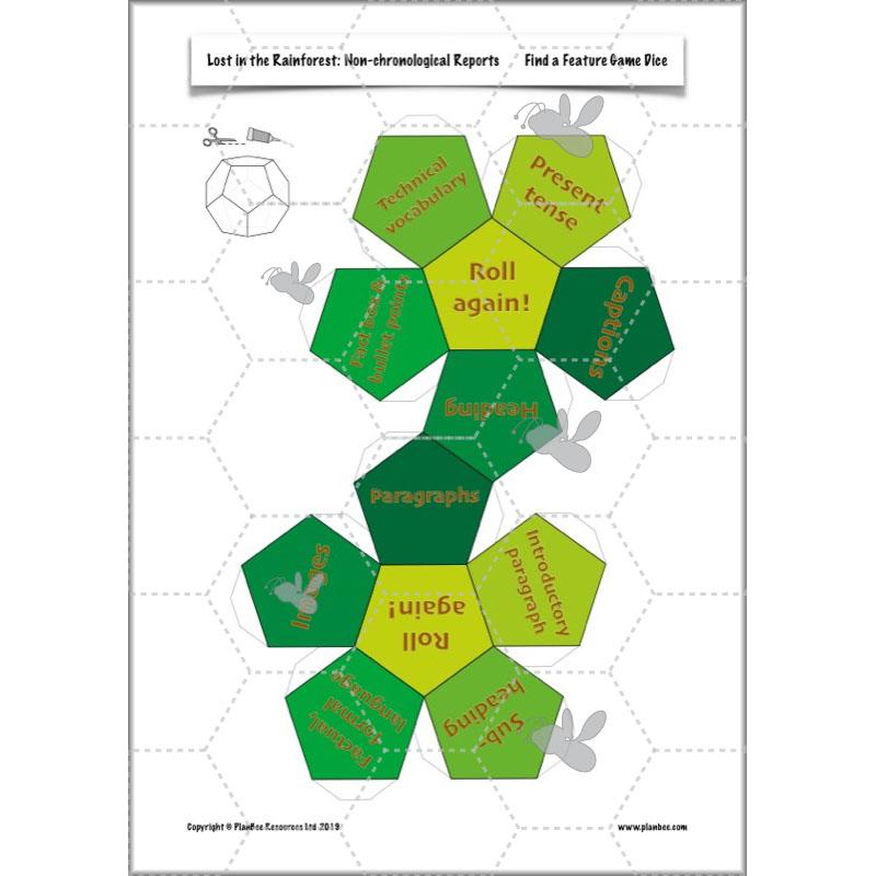 PlanBee Lost in the Rainforest: Non chronological Reports Year 3 English Plans & Resources