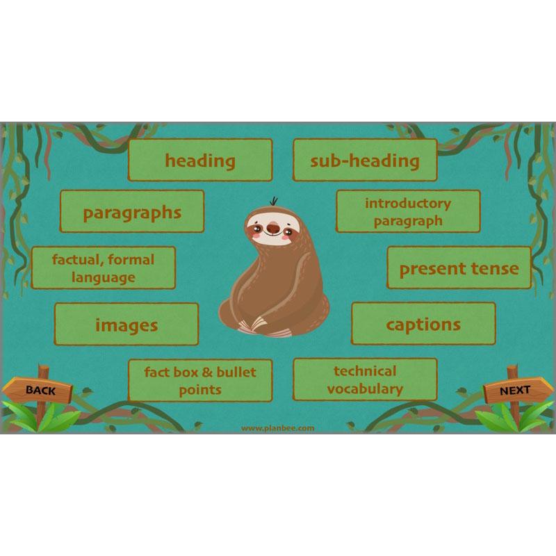 PlanBee Lost in the Rainforest: Non chronological Reports Year 3 English Plans & Resources