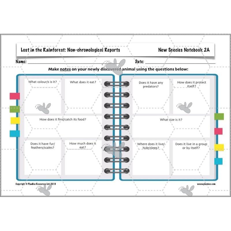 PlanBee Lost in the Rainforest: Non chronological Reports Year 3 English Plans & Resources